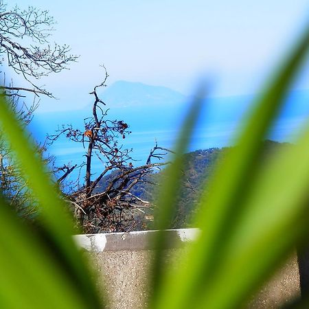 Ficarra Al Fakhar Bed & Breakfast エクステリア 写真