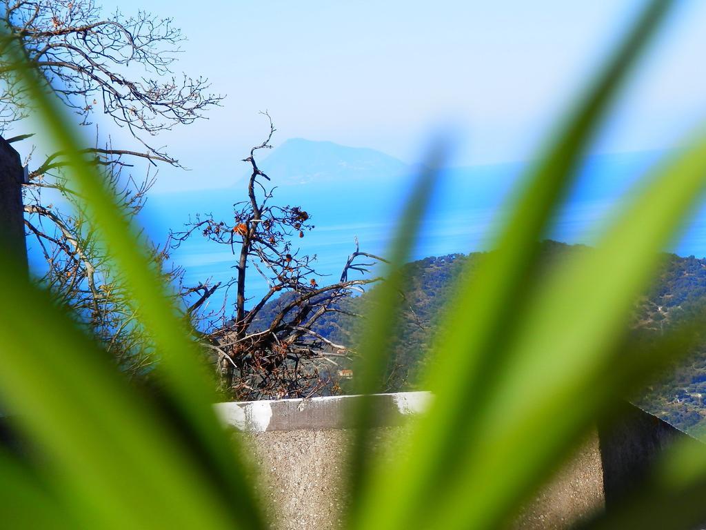 Ficarra Al Fakhar Bed & Breakfast エクステリア 写真